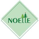 Noelle logo
